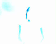 invertdyl.jpg